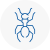 Ant Removals In Torbay
