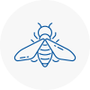 Bee Nest Removal Torbay