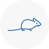 Mice Exterminators In Torbay