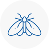 Moth Control Specialists In Torbay